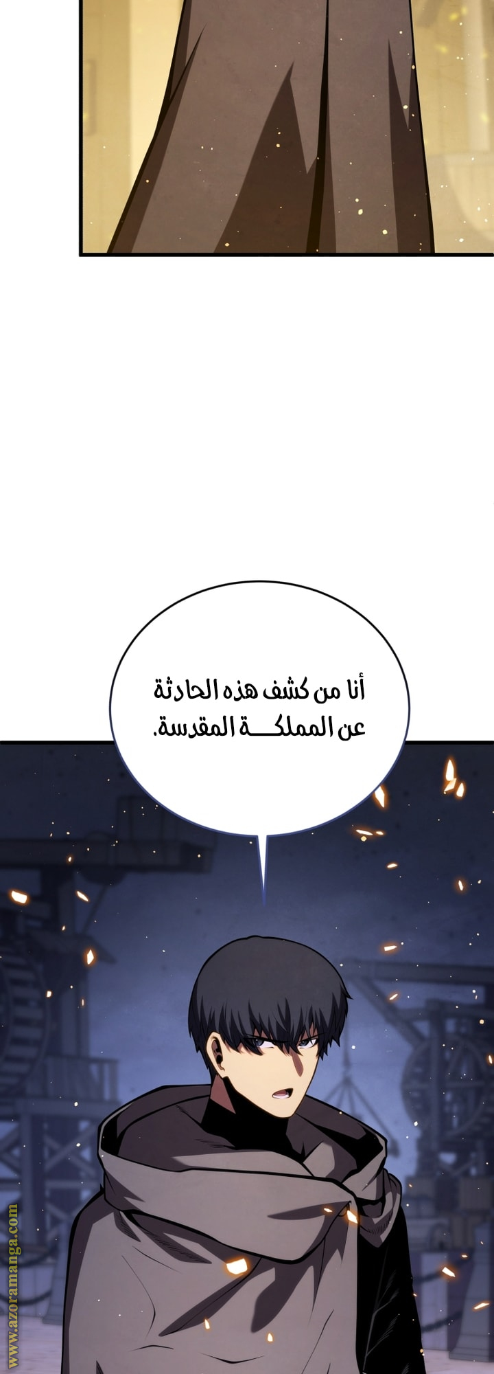 الصفحة 25