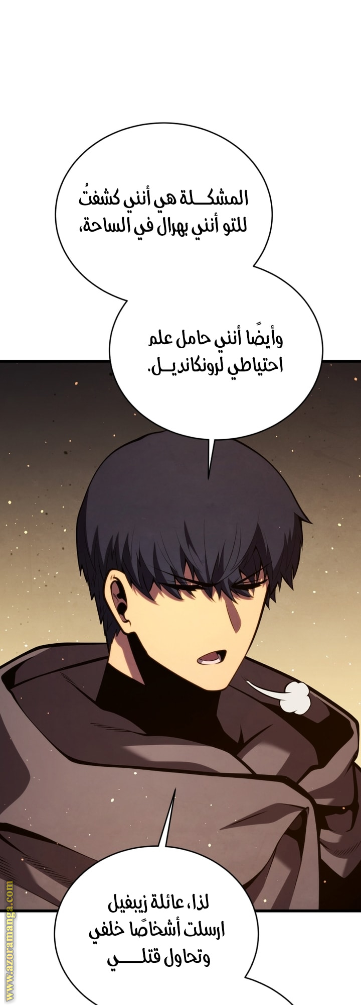 الصفحة 29