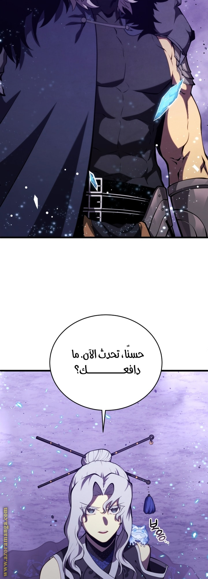 الصفحة 13