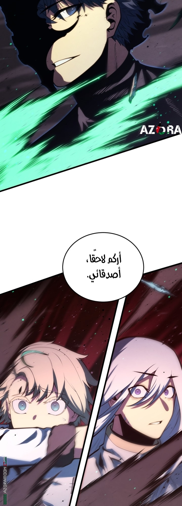 الصفحة 48