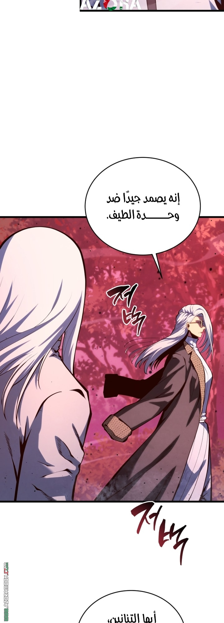 الصفحة 21