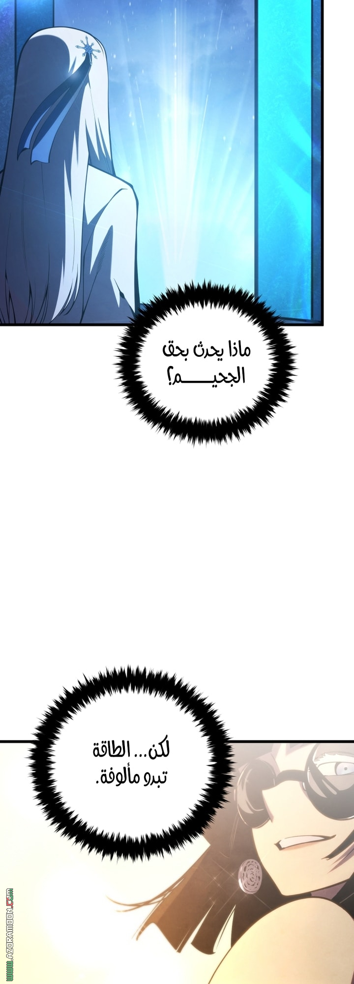 الصفحة 17