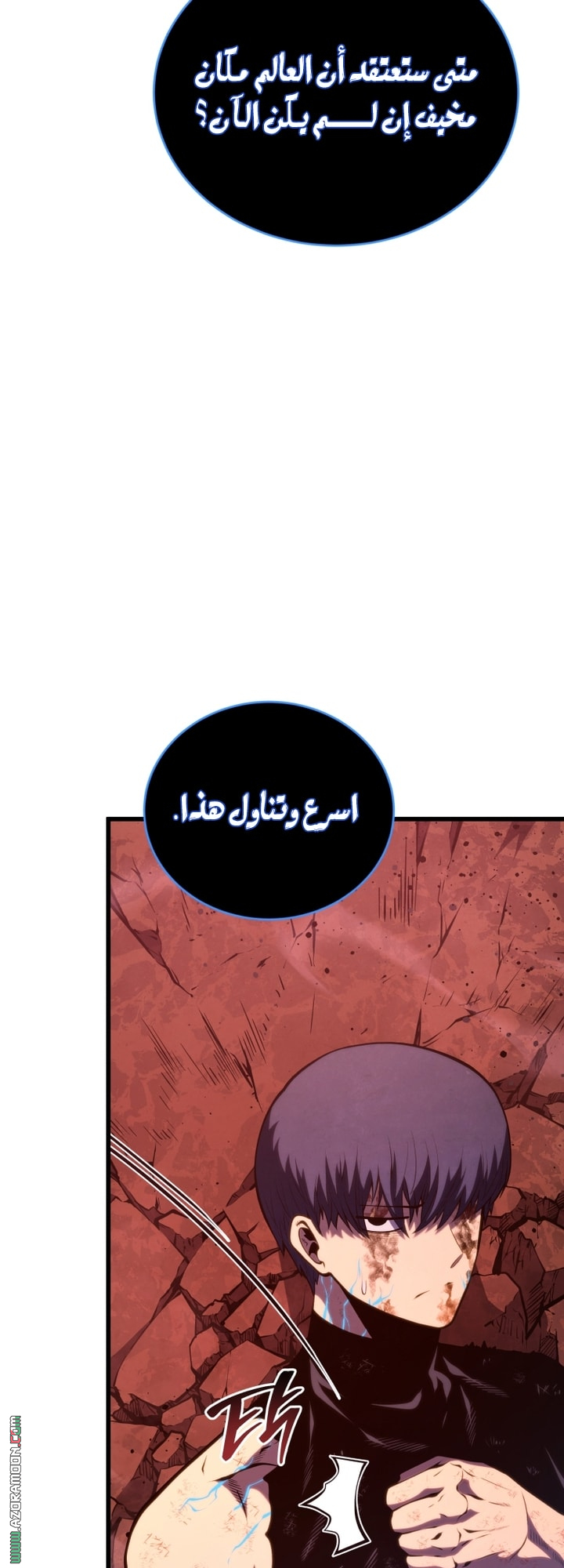 الصفحة 25