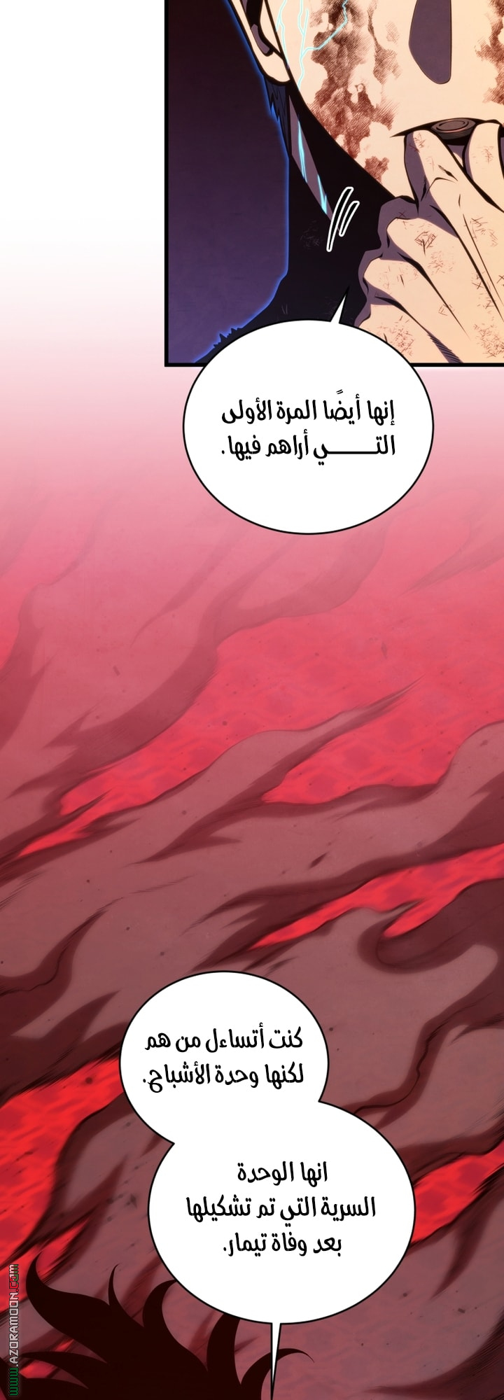 الصفحة 29
