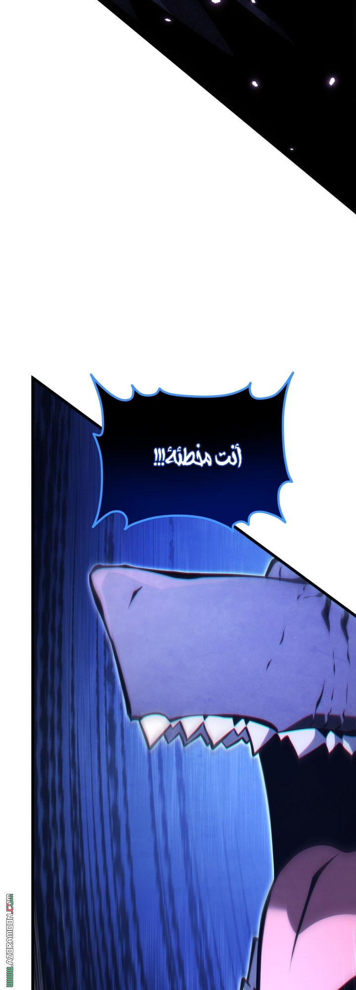 الصفحة 43