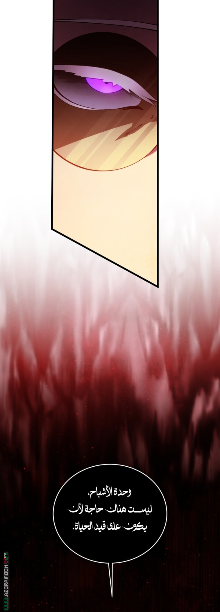 الصفحة 49