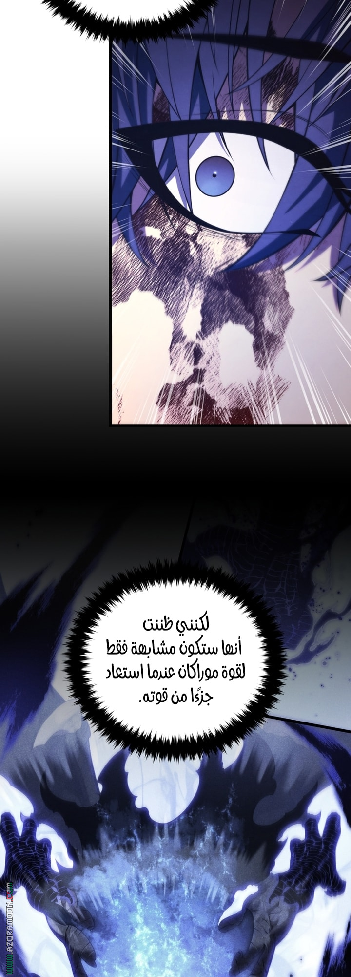 الصفحة 13