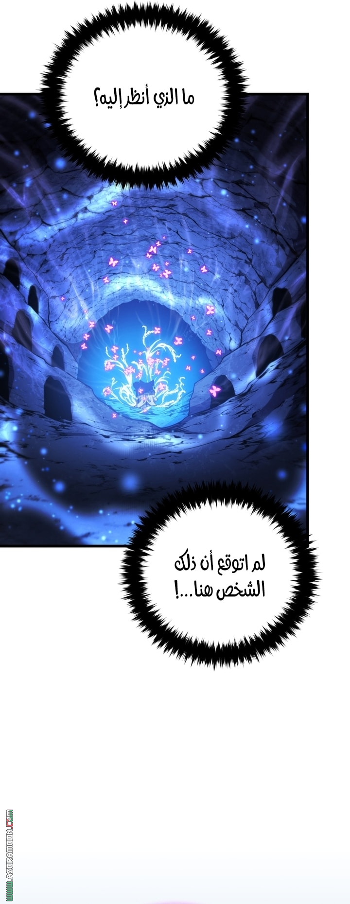 الصفحة 66