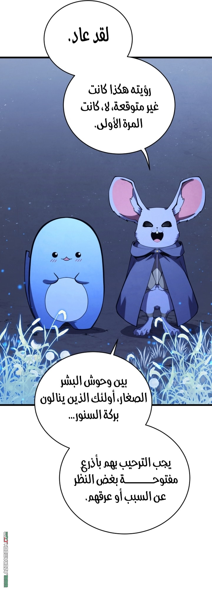 الصفحة 17