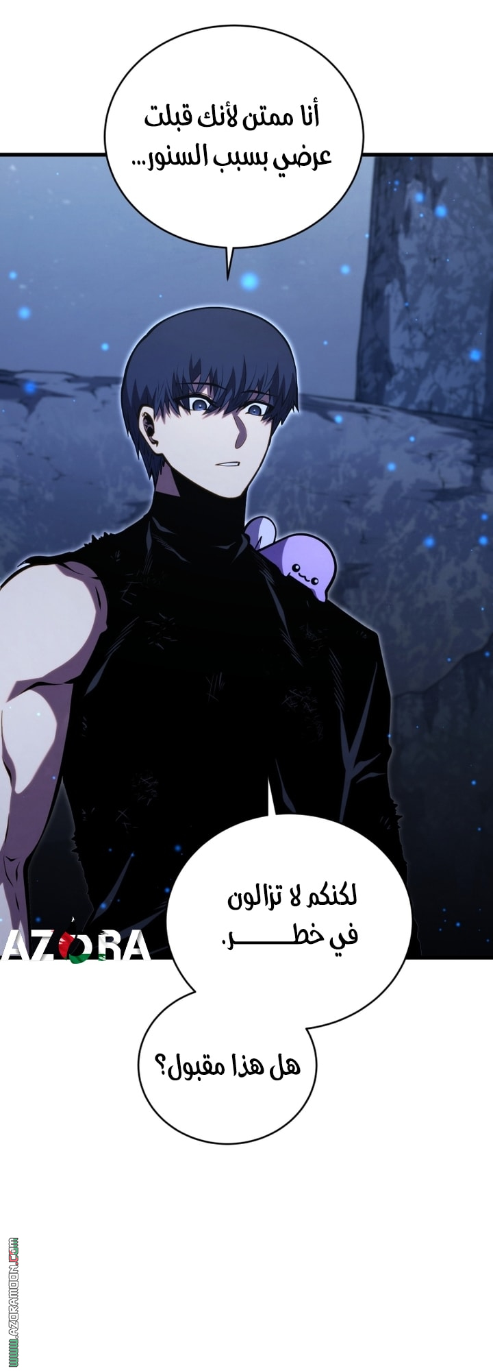 الصفحة 24