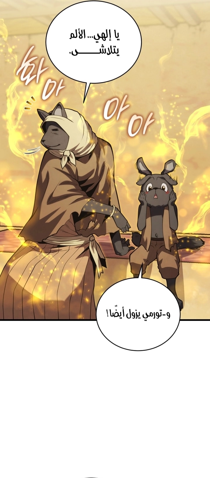 الصفحة 24