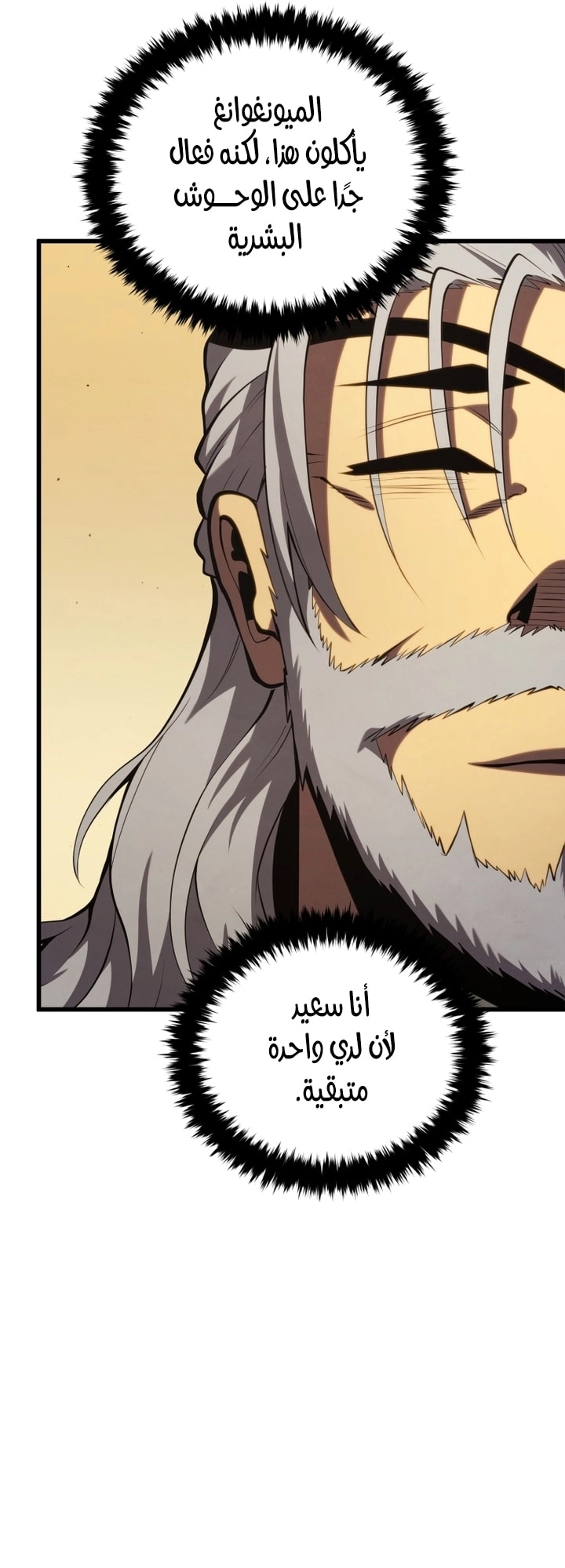 الصفحة 28