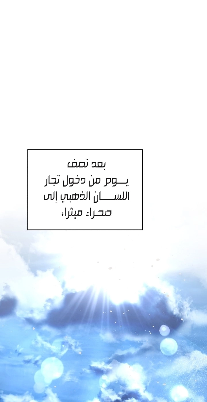 الصفحة 41