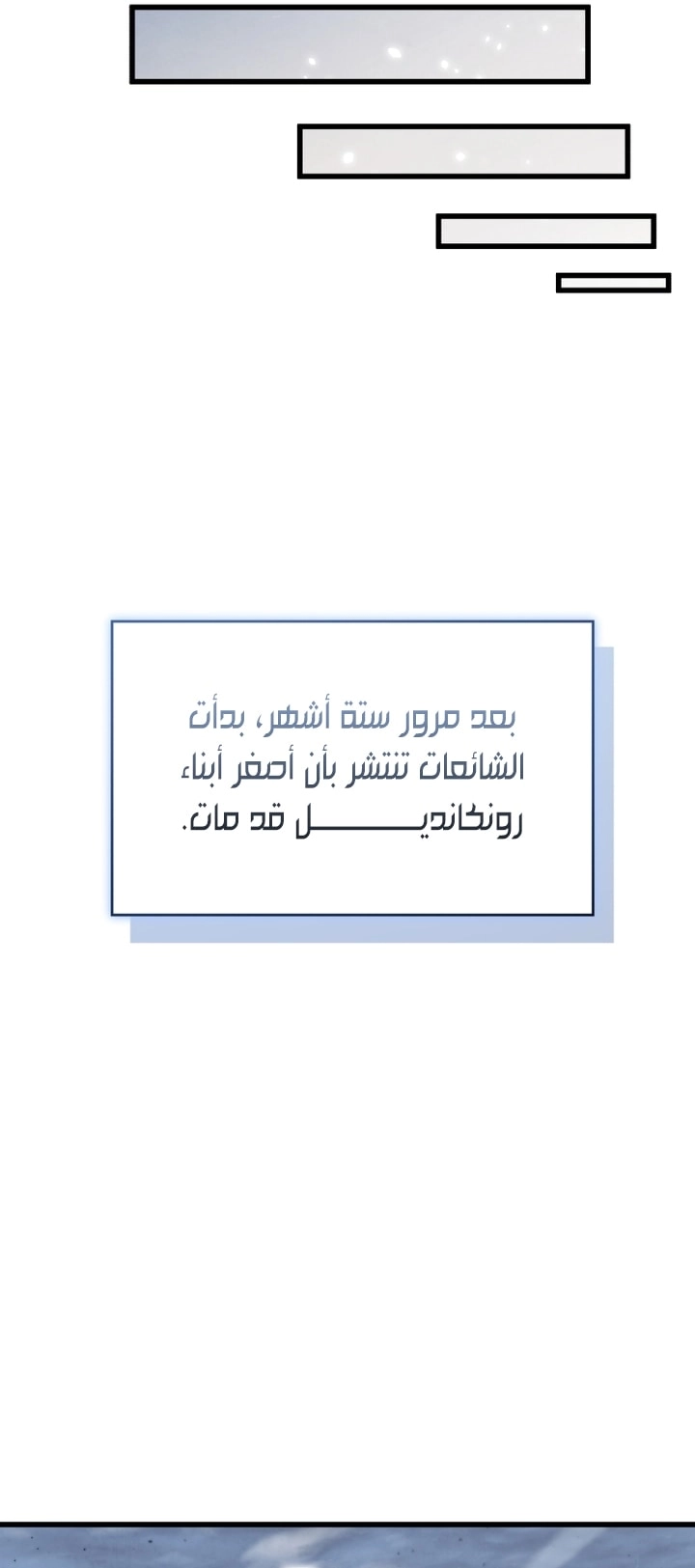 الصفحة 41