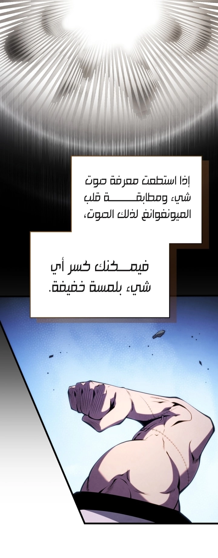الصفحة 13
