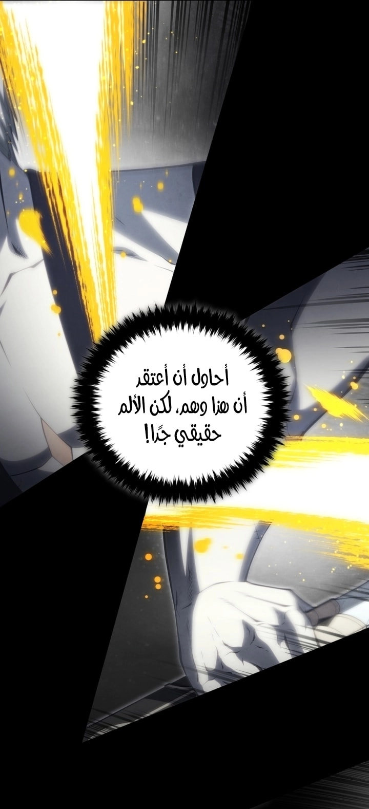 الصفحة 49