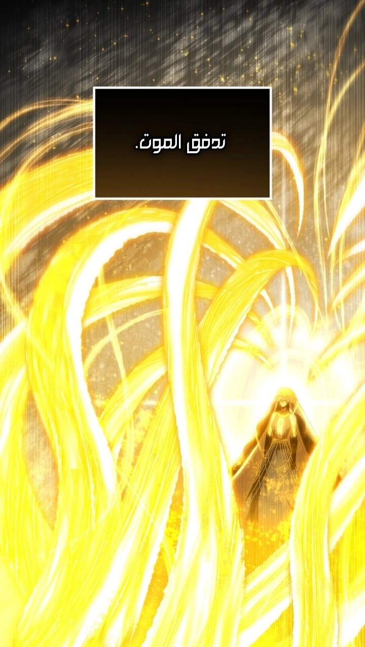 الصفحة 29