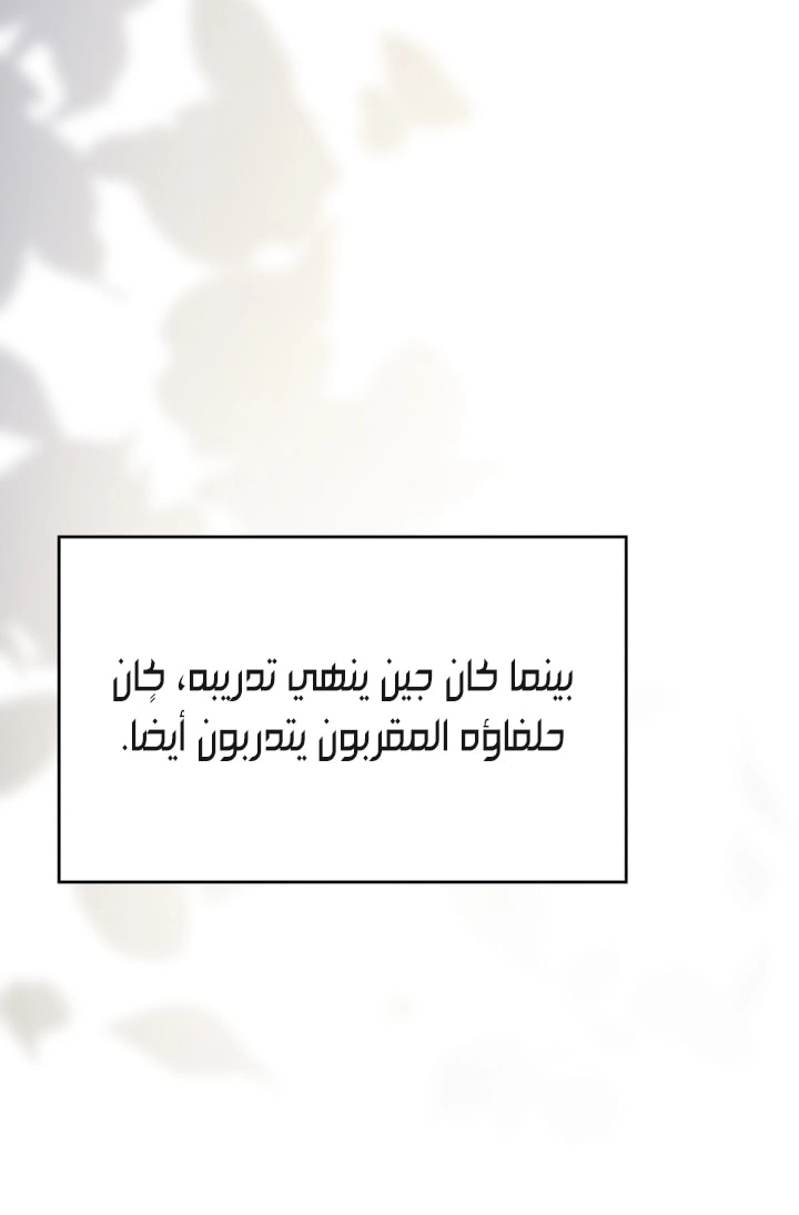 الصفحة 38