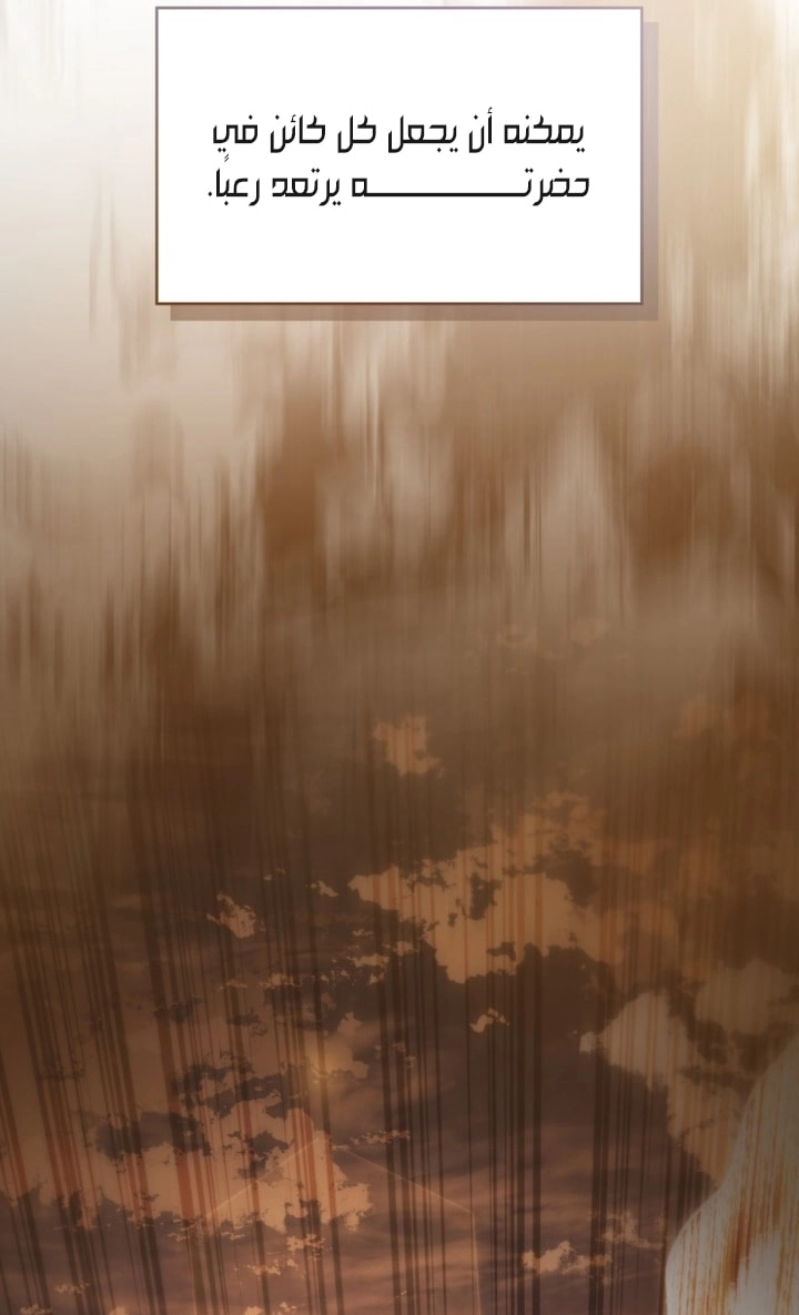 الصفحة 31