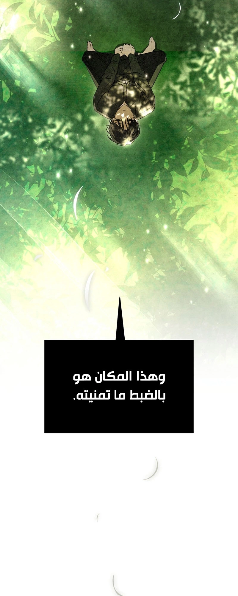 الصفحة 33