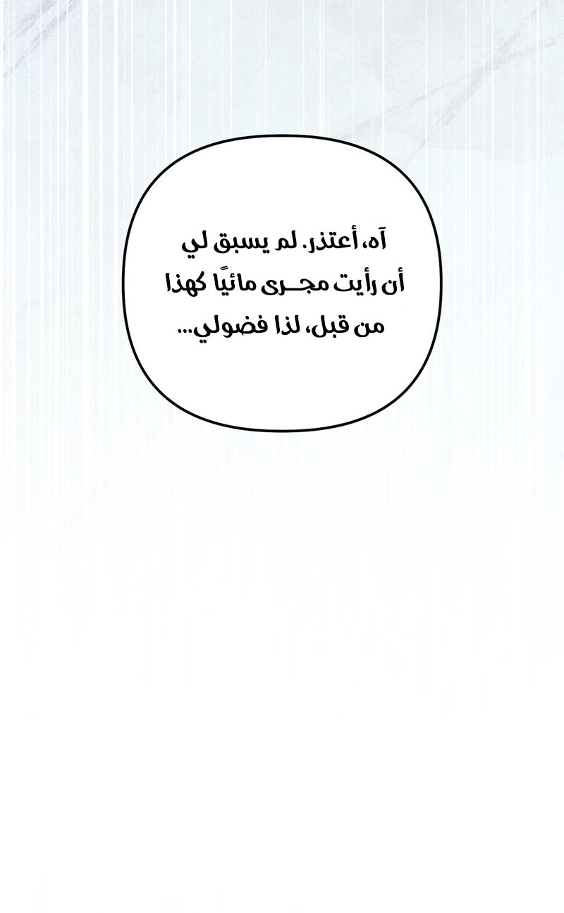الصفحة 37