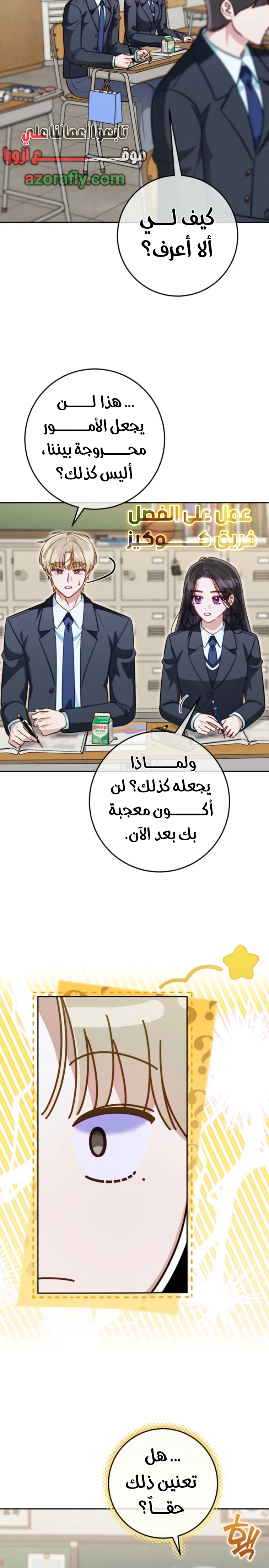 الصفحة 19