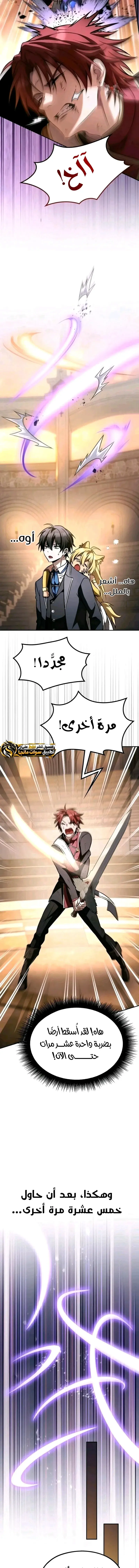 الصفحة 13