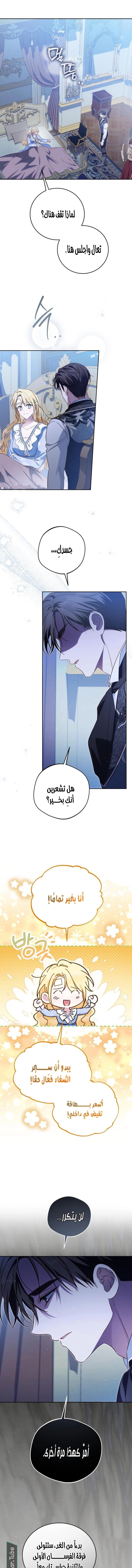 الصفحة 11