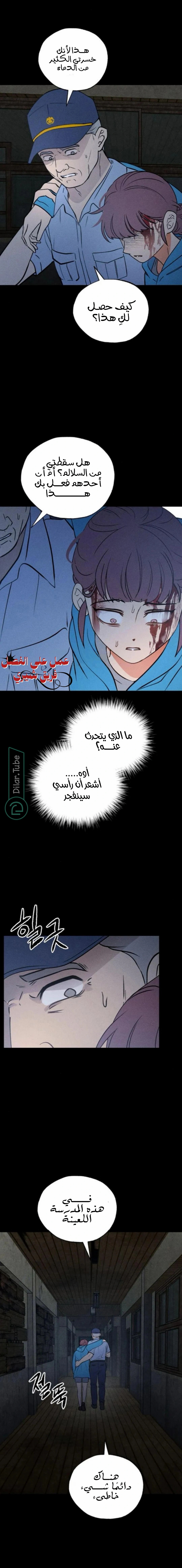 الصفحة 11