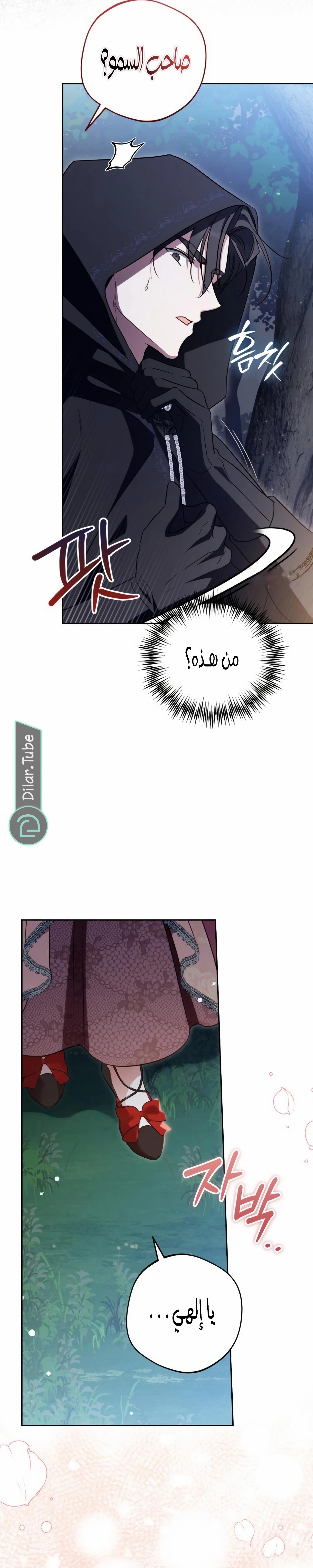 الصفحة 26