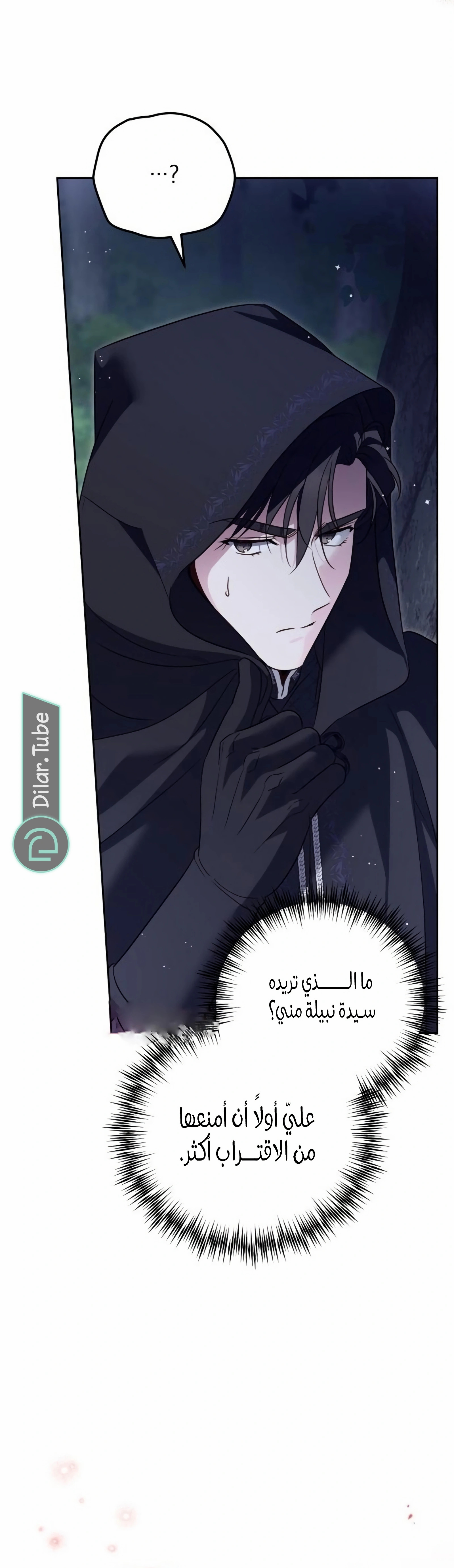 الصفحة 28