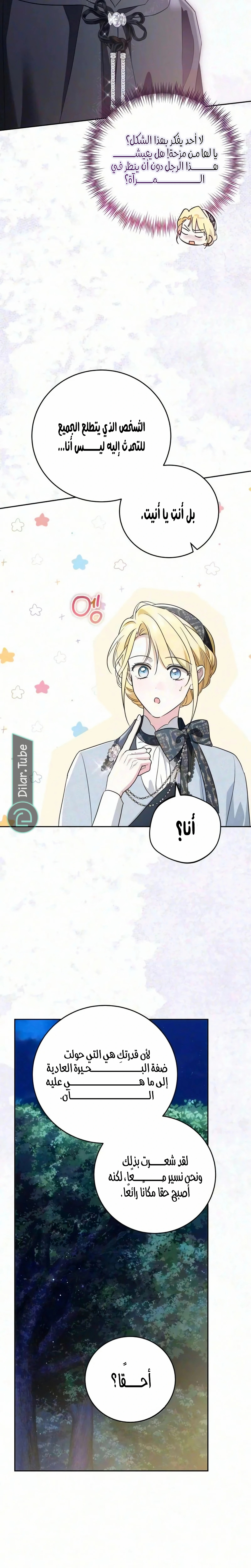 الصفحة 17