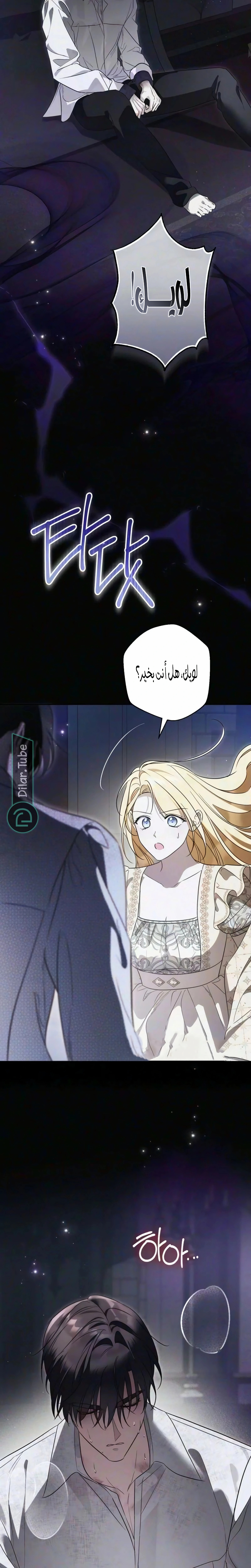 الصفحة 17