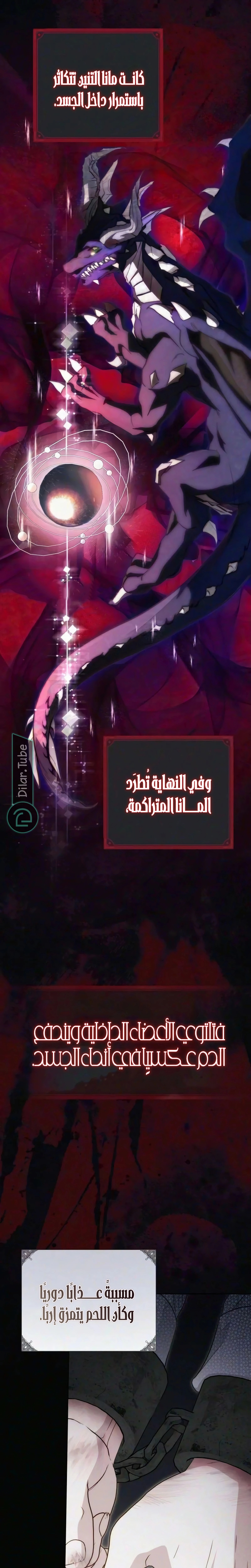الصفحة 24