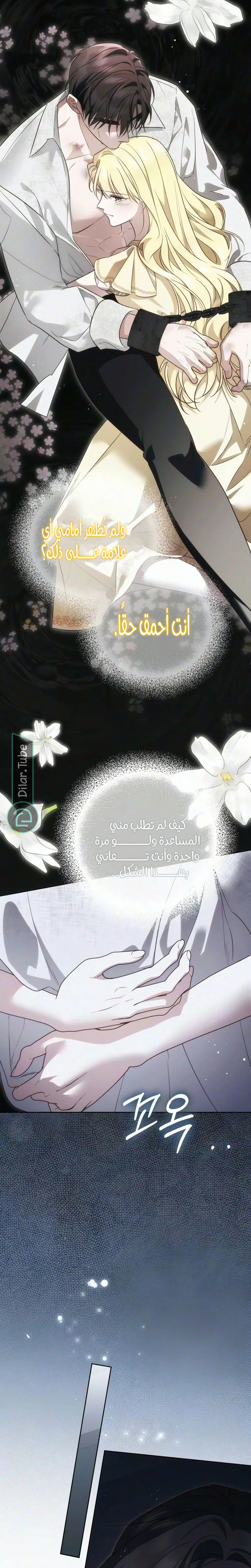 الصفحة 26