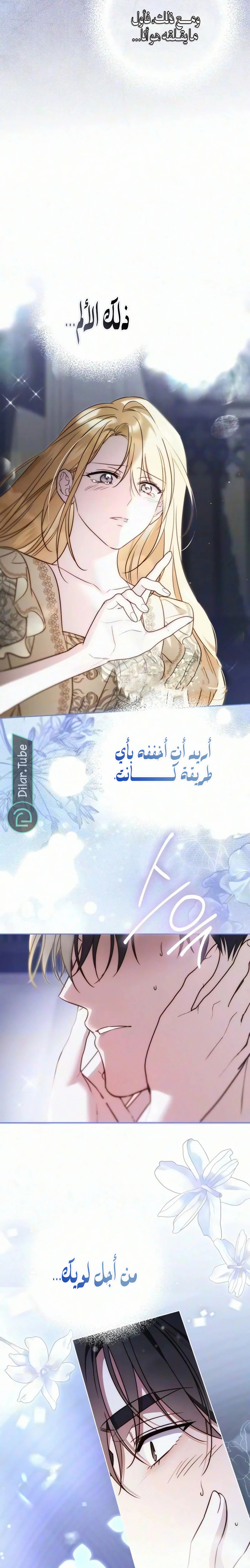 الصفحة 29