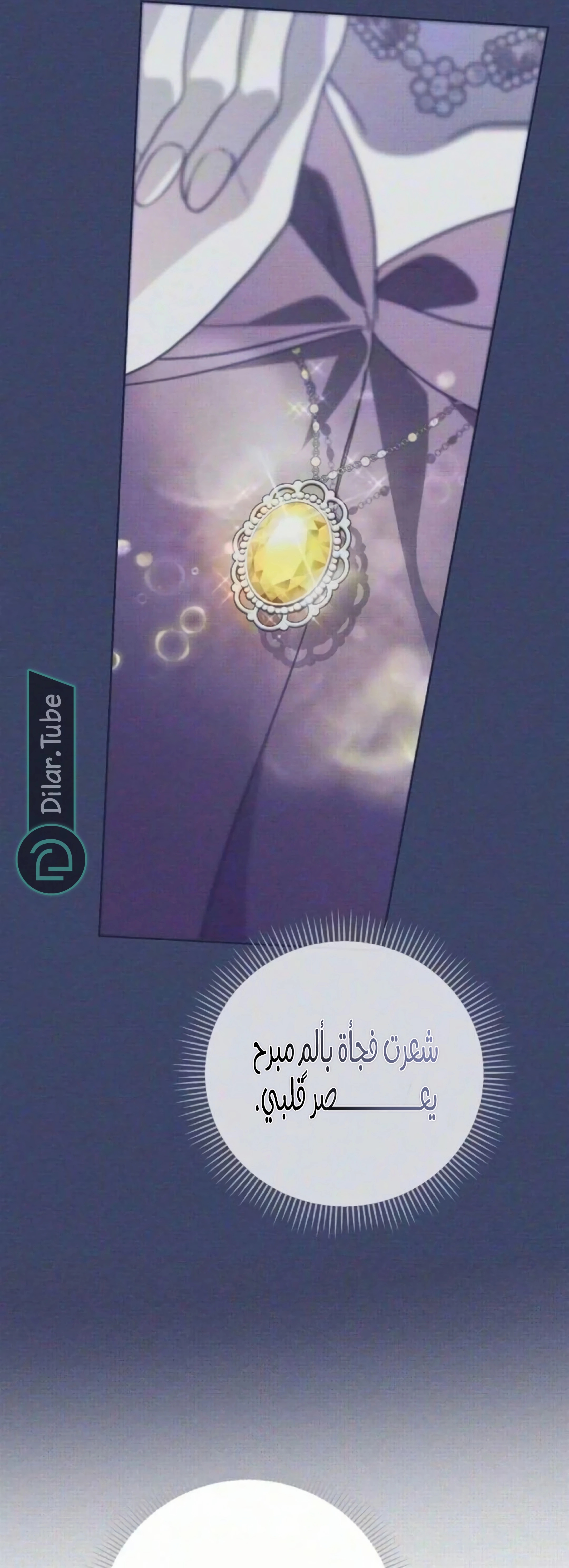 الصفحة 20