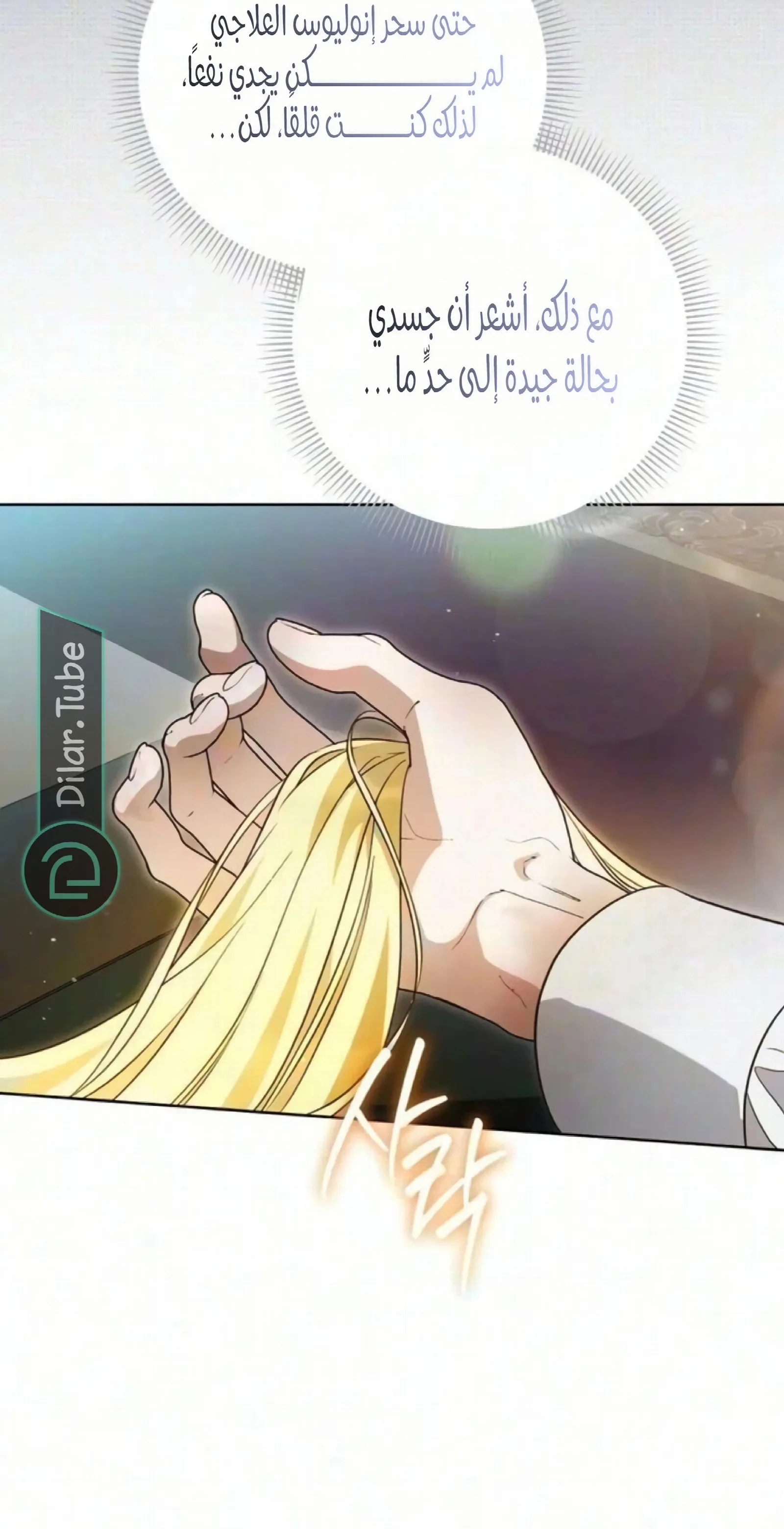 الصفحة 21