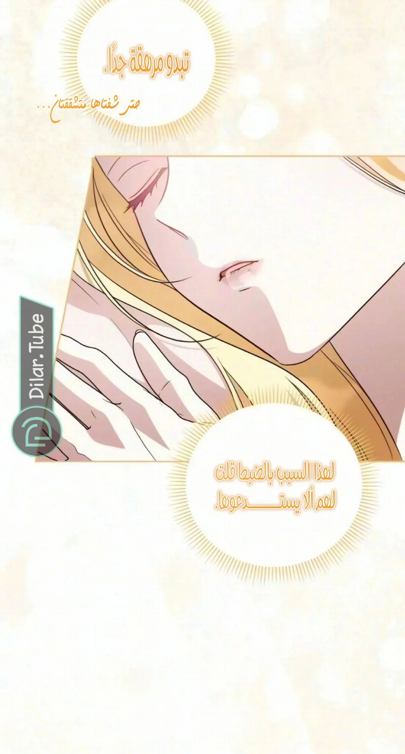 الصفحة 26