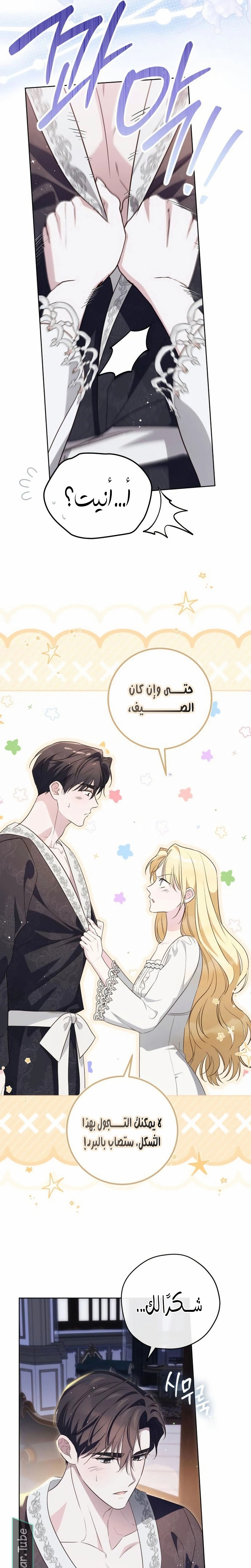 الصفحة 13