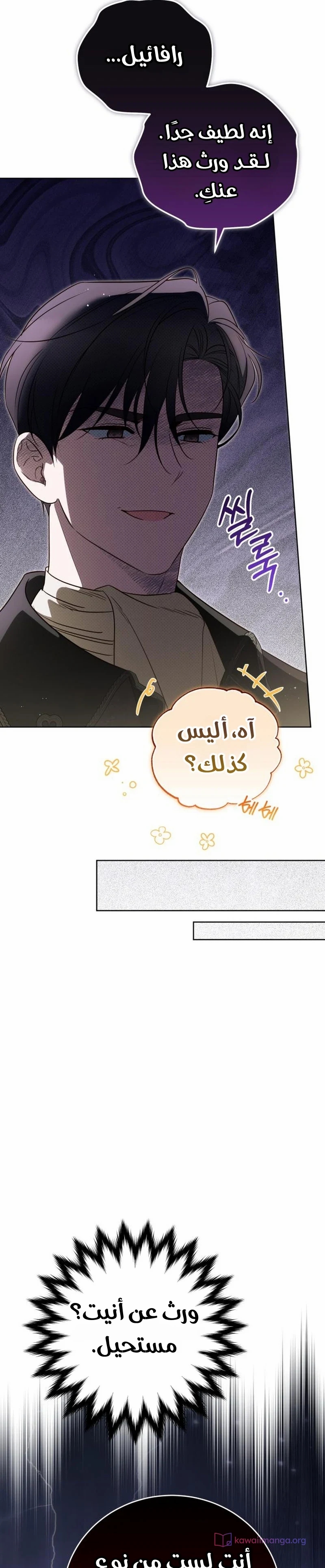 الصفحة 17