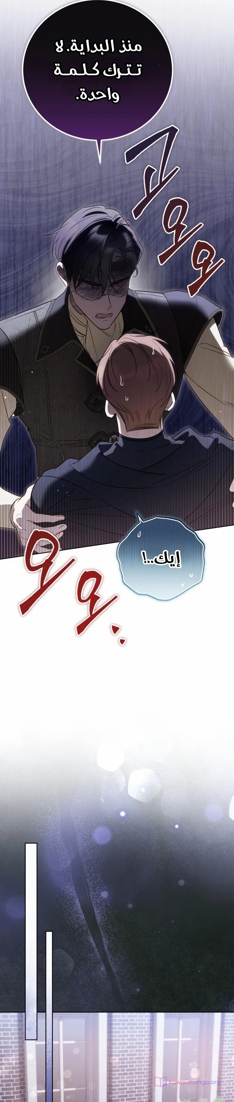 الصفحة 27