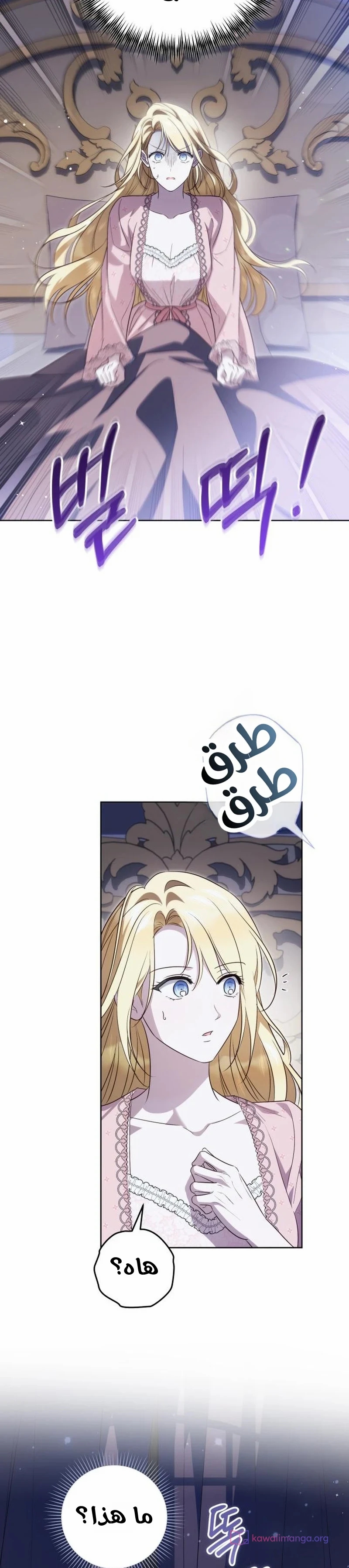 الصفحة 14