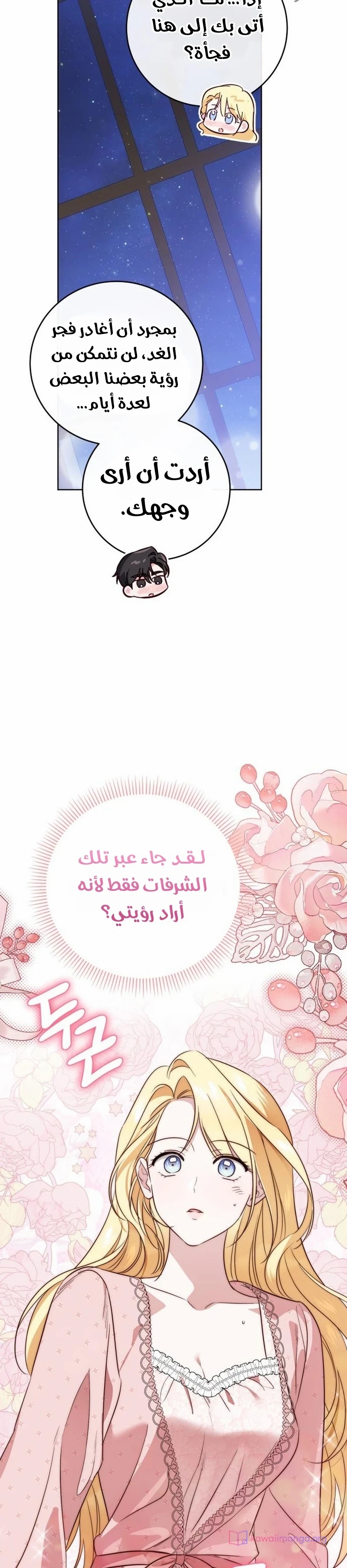 الصفحة 28