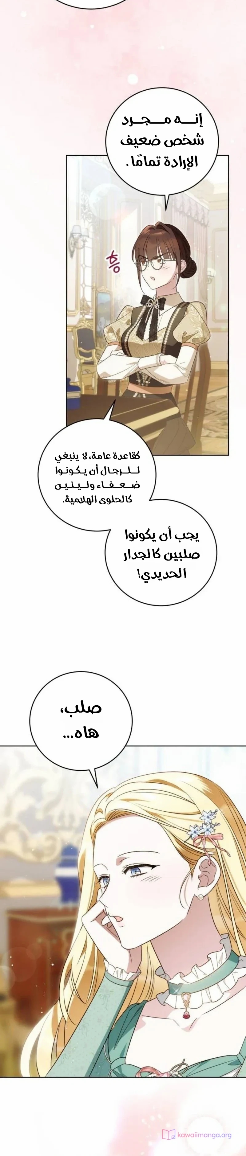 الصفحة 13
