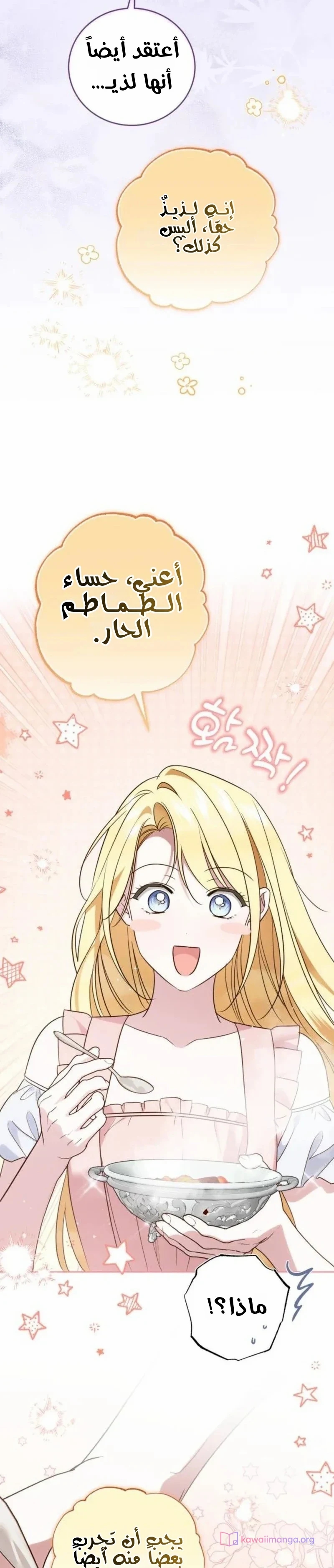 الصفحة 27