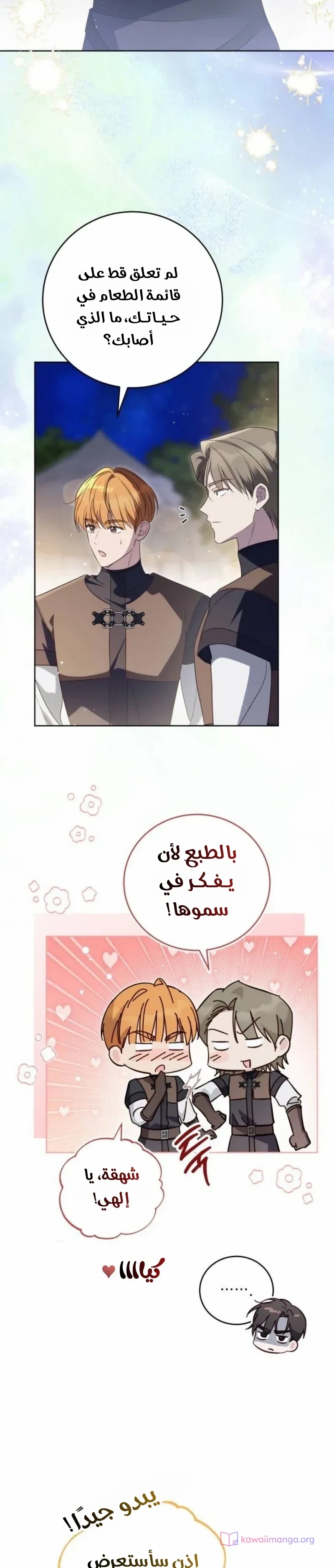 الصفحة 33