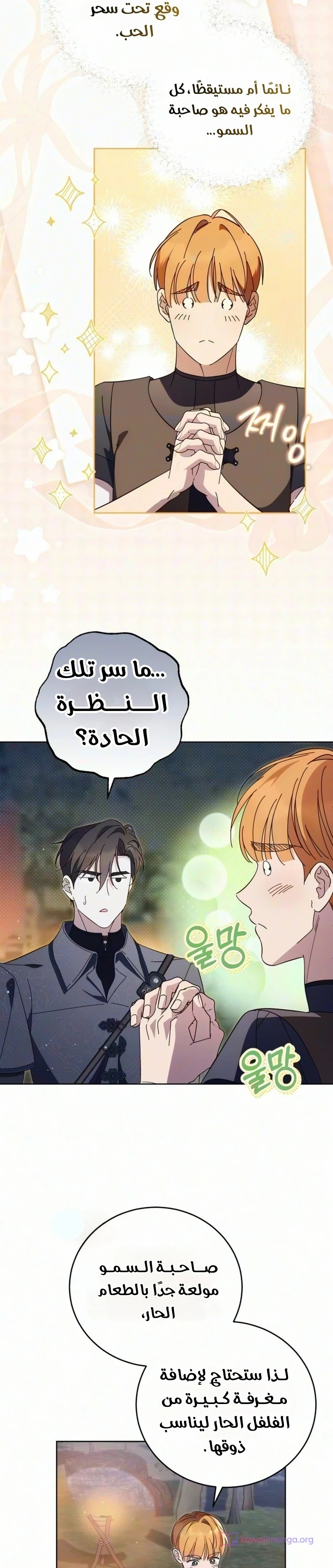 الصفحة 4