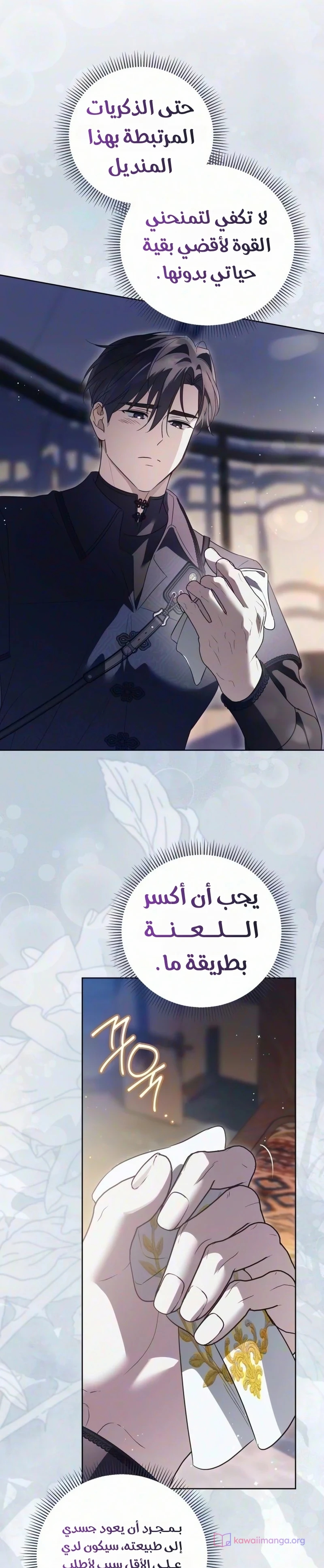 الصفحة 13