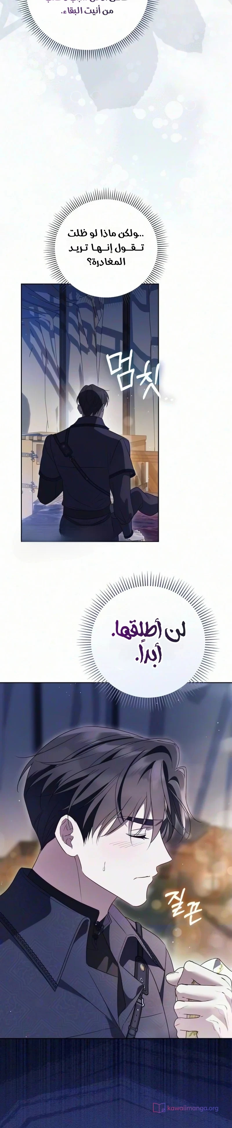 الصفحة 14